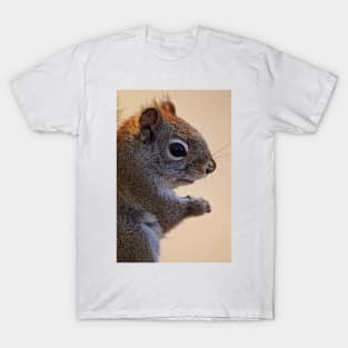 Red Squirrel T-Shirt